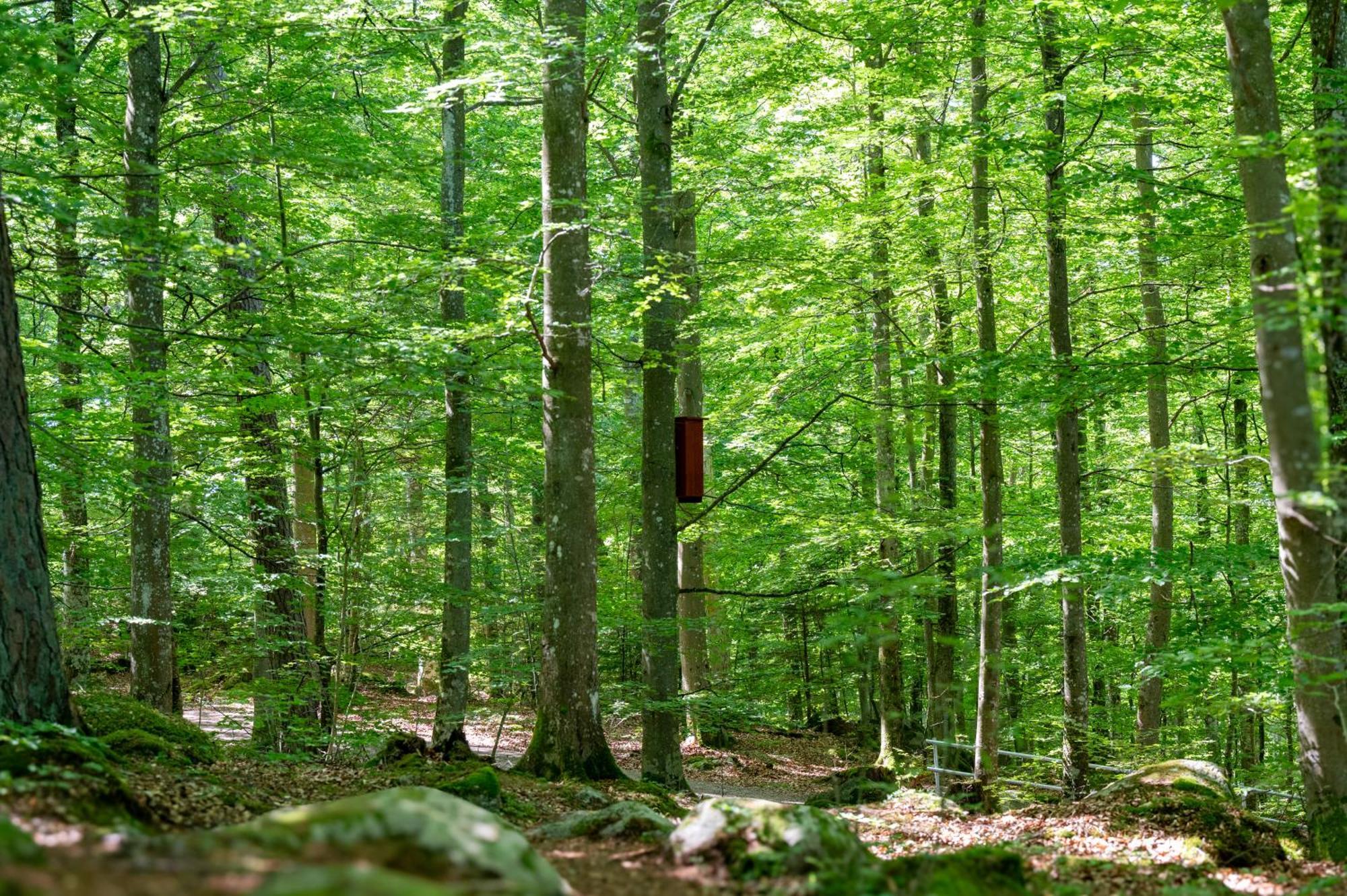 Halens Camping Och Stugby オロフストロム エクステリア 写真